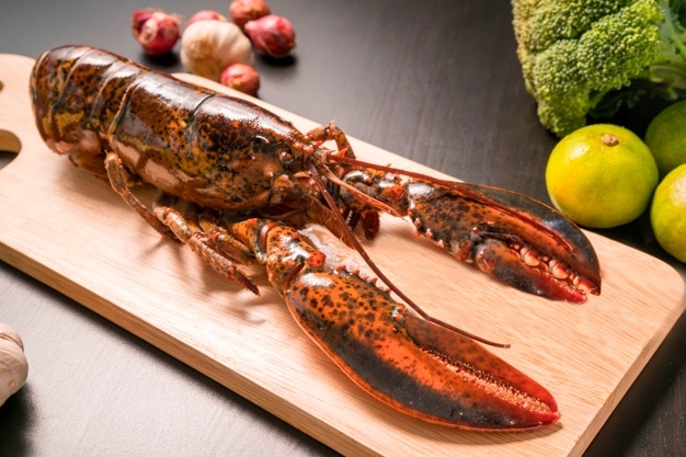 lobster